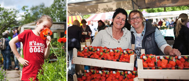 Rotterdamse oogst festival