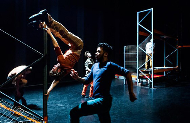 Grensverleggend en energiek. Codex, de nieuwe voorstelling van Dance Works Rotterdam/André Gingras gaat tot het uiterste