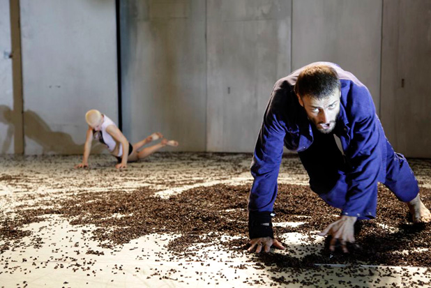 Einbahnstrasse van T.r.a.s.h. (c Lisa Klappe)