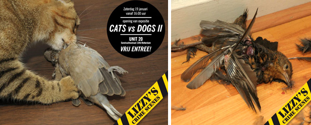 Cats vs Dogs 2 in galerie Unit20 (c Lizzys Crime Scenes)