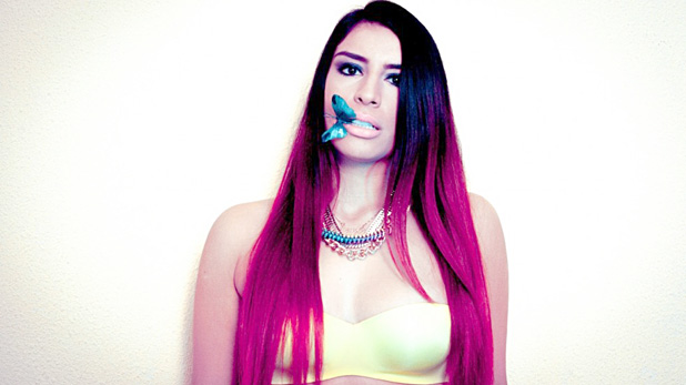 Bevrijdingsfestival naast de Euromast (c Sevdaliza / HipHopHuis)