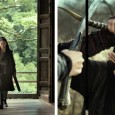 De film ‘The Assassin’ is een zeldzame vogel in het oeuvre van Hou Hsiao Hsien. De filmmaker die samen met Edward Yang de Taiwanese New...